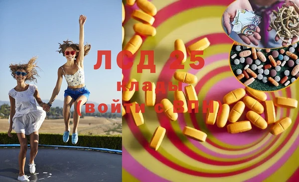 ГАЛЛЮЦИНОГЕННЫЕ ГРИБЫ Алзамай