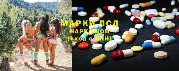 ГАЛЛЮЦИНОГЕННЫЕ ГРИБЫ Алзамай