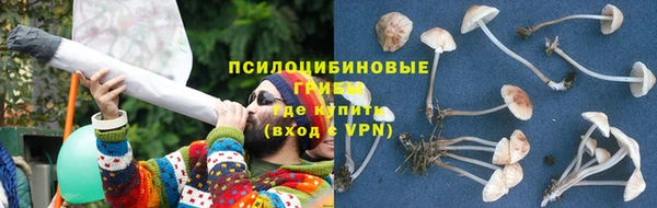 хмурый Алексеевка