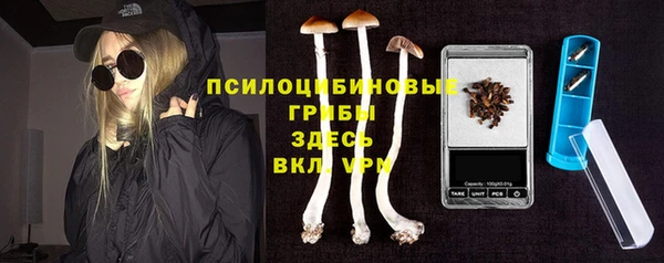 ГАЛЛЮЦИНОГЕННЫЕ ГРИБЫ Алзамай