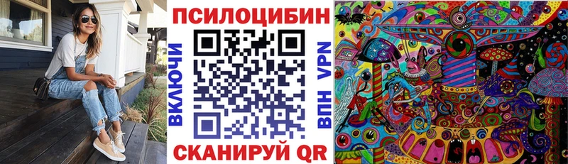 Псилоцибиновые грибы Psilocybine cubensis  Геленджик 